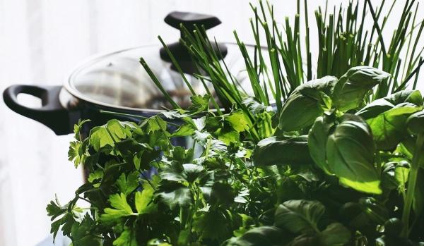 Herbes aromatiques: conseils pour l'hiver